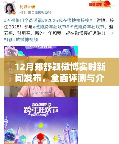凤鸟不至 第2页