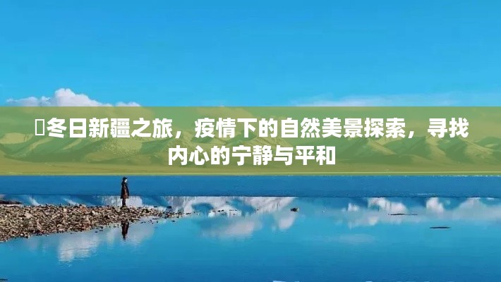 冬日新疆之旅，疫情下的自然美景探索，心灵宁静与平和的追寻