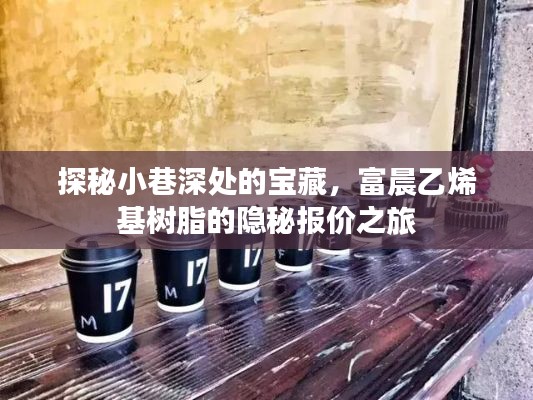 富晨乙烯基树脂隐秘报价之旅，小巷深处的宝藏探秘
