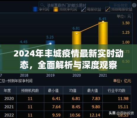 丰城疫情最新动态解析与深度观察（2024年）
