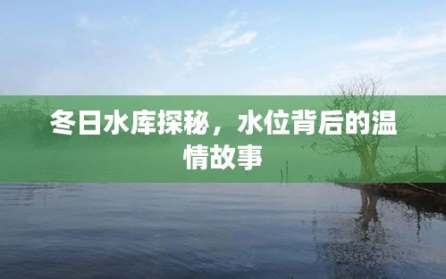 冬日水库探秘，水位背后的温情传奇