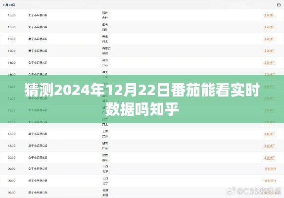 番茄应用实时数据预测，未来能否查看观看数据？