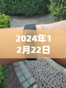 百鸟齐鸣