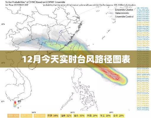 台风路径实时图表，今日最新动态