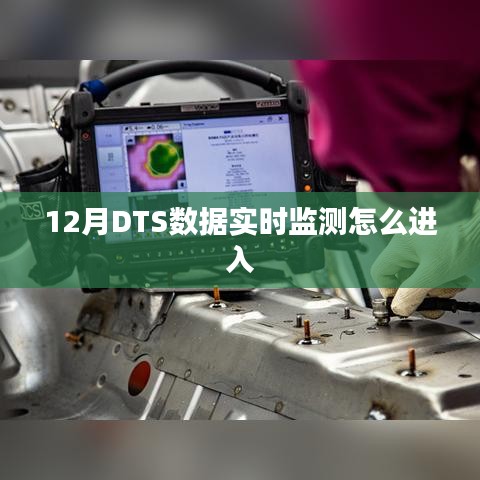 12月DTS数据实时监测入口指南