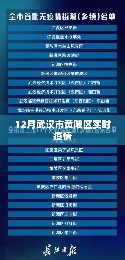 武汉黄陂区最新疫情动态通知
