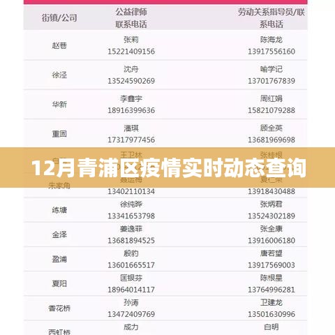 青浦区疫情最新实时动态查询（12月）