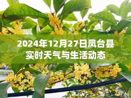 凤台县实时天气与生活动态播报（日期标注）