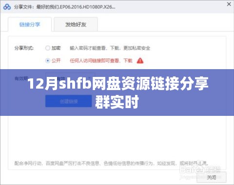 12月shfb网盘资源分享群，实时链接大放送