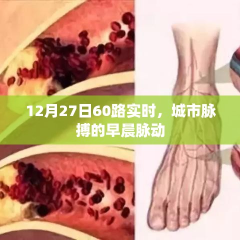 城市脉搏早晨脉动，12月27日60路实时动态