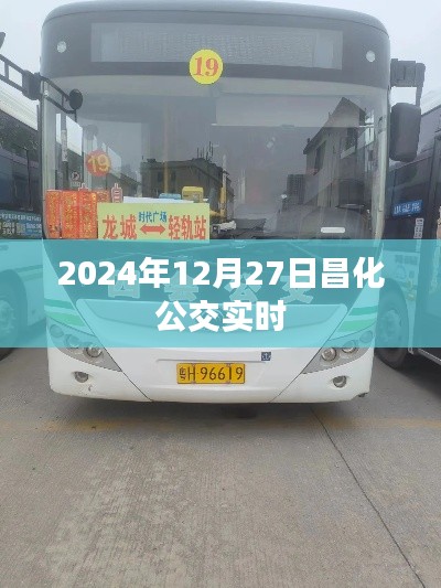 昌化公交实时查询系统，最新时间表及路线安排（2024年）