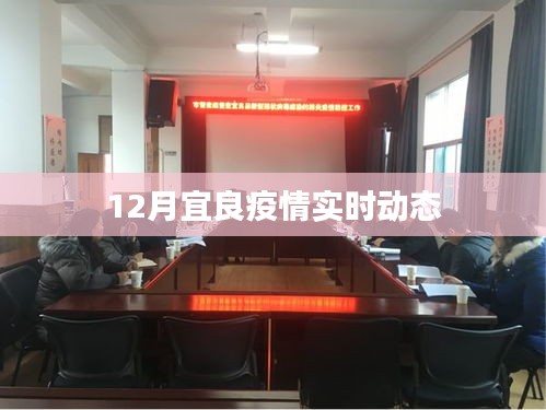 宜良县疫情实时动态更新