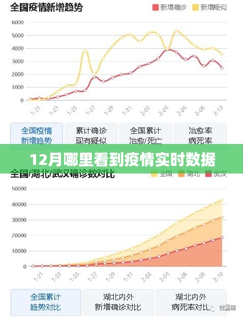 疫情实时数据查询指南，了解最新疫情动态