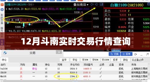 斗南实时交易行情查询报告