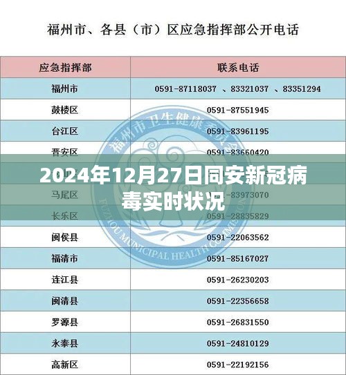 同安新冠病毒实时状况更新（日期标注）