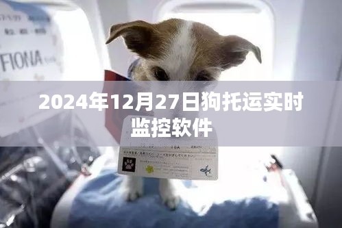 宠物托运监控软件，实时追踪狗狗动态