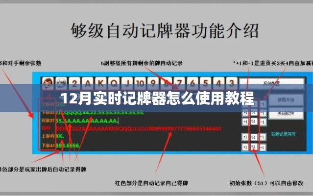 12月实时记牌器使用教程，详细步骤解析