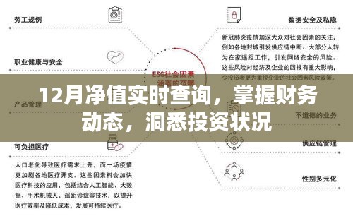 12月净值实时掌握，财务动态与投资状况一目了然