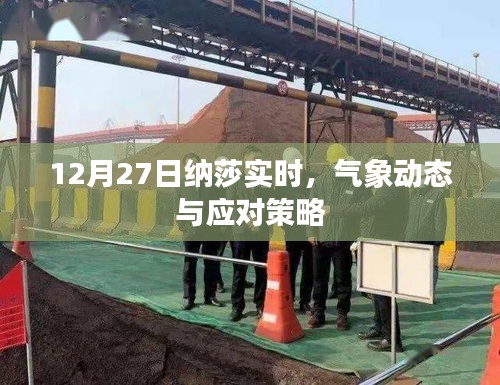 2025年1月 第209页
