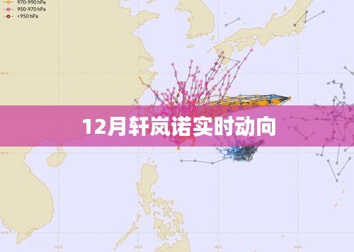 轩岚诺最新动向报告，十二月实时更新