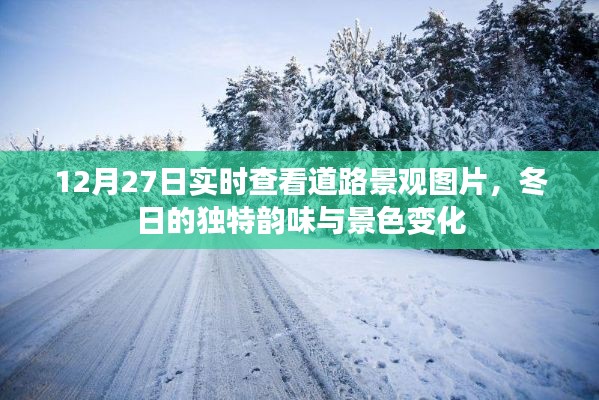 冬日道路景观实时图片，韵味与景色变化赏析