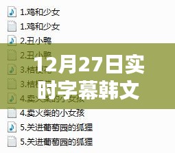 12月27日实时字幕韩译技巧