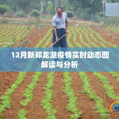 新郑龙湖疫情实时动态图解读与分析报告