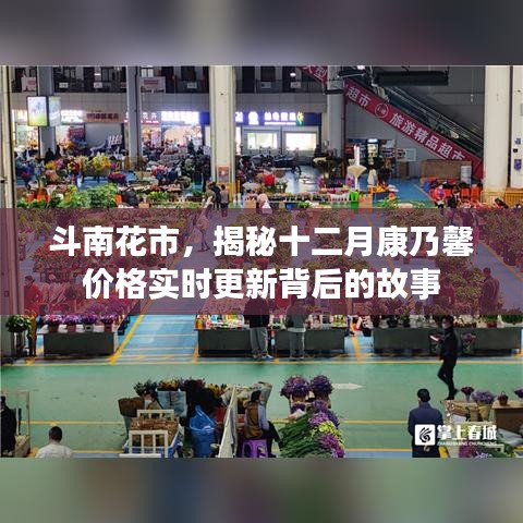 斗南花市，揭秘康乃馨价格实时更新背后的故事
