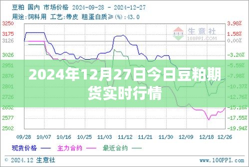 豆粕期货实时行情分析（最新动态）