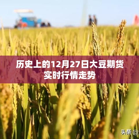 历史上的大豆期货行情走势，12月27日实时行情分析