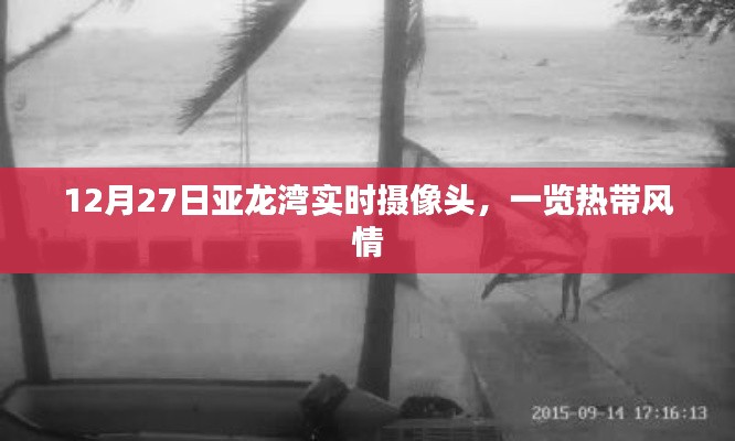 12月27日亚龙湾热带风情实时摄像头捕捉