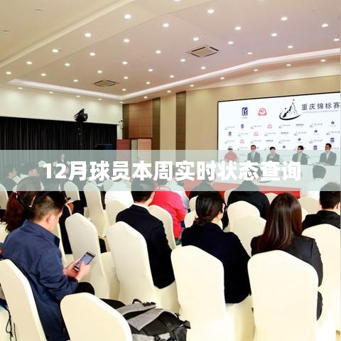 球员实时状态查询系统（最新更新）