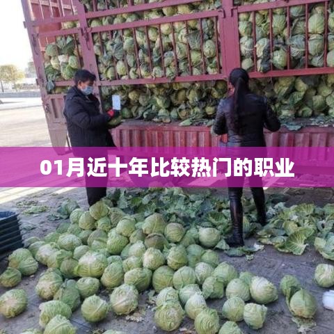 近十年热门职业大盘点