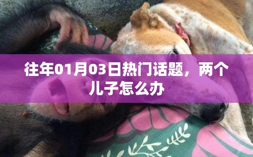 两个儿子成长与教育策略，往年热门话题回顾