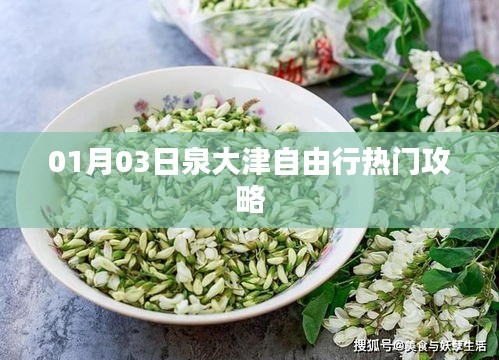 泉大津自由行热门攻略（一日游攻略）