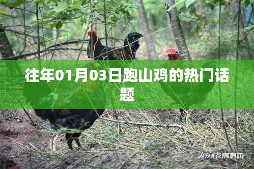 『跑山鸡热门话题回顾，历年1月3日热议焦点』