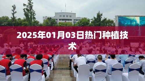 2025年热门种植技术趋势展望