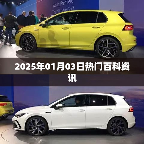 『一周热点解析，2025年热门百科资讯速递』