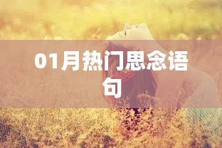 最新热门思念语句分享