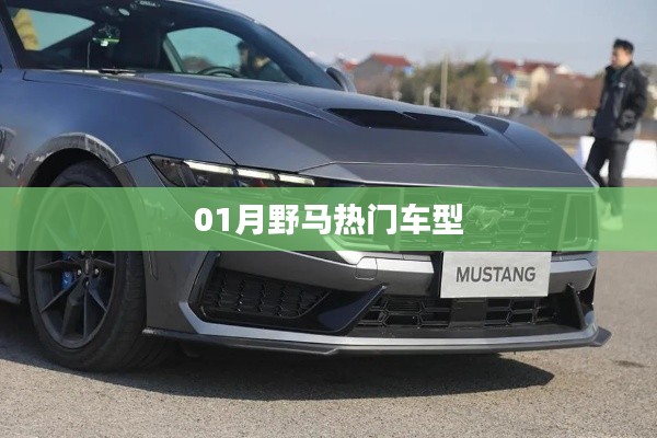 根据您的需求，以下是一个符合要求的标题，，野马热门车型大盘点，符合百度收录标准，字数在规定的范围内，同时能够清晰地表达文章的主题。