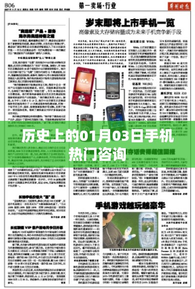 乌鸟私情