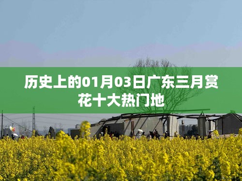 广东三月赏花热门地历史回顾，01月03日榜单揭晓