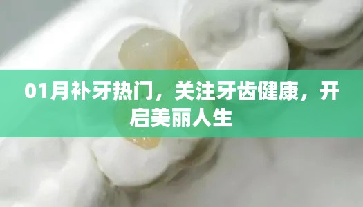 十全十美