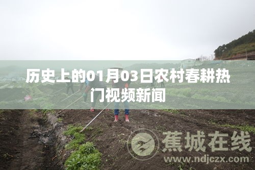 农村春耕热门视频新闻播报，历史上的今日一月三日回顾