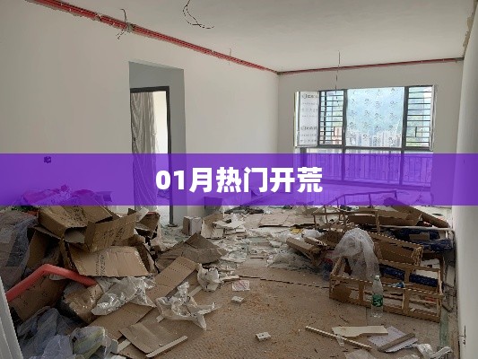 热门开荒，一月份火热开启！