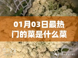 最新热门菜品，一月三日最受欢迎的菜肴