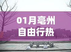 云屯鸟散