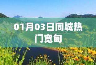 宽甸同城热门活动，最新资讯一网打尽（01月03日）