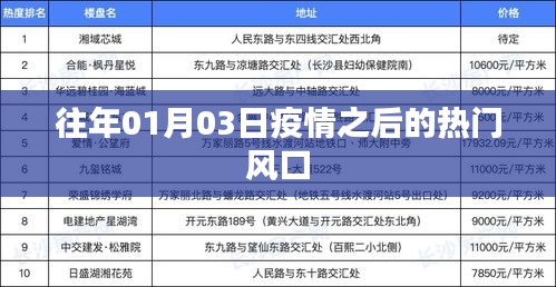 疫情后的热门风口，商机涌现与趋势展望