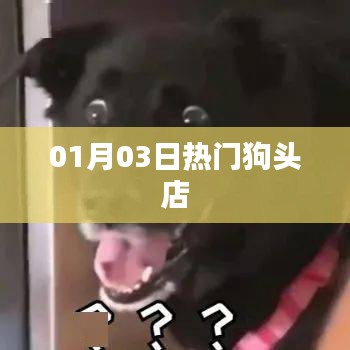 热门狗头店最新动态，新年新惊喜